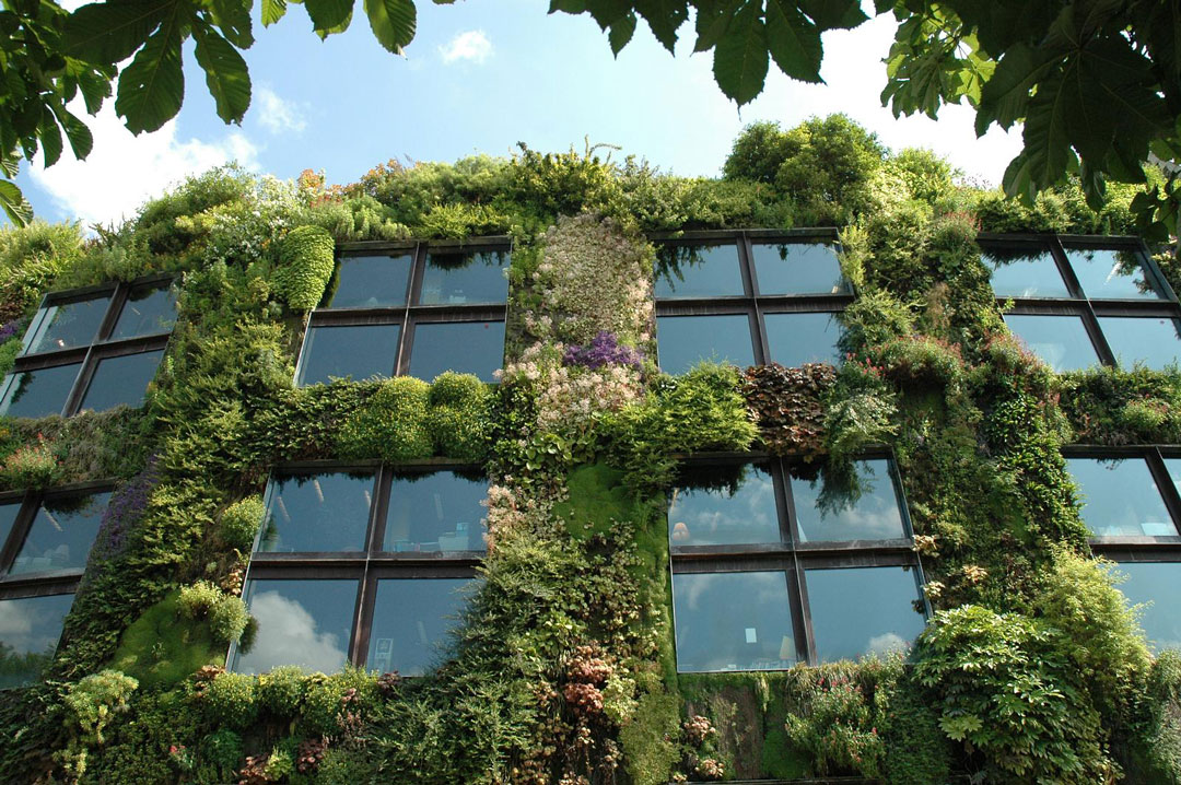 jardín vertical plantas verde ecología